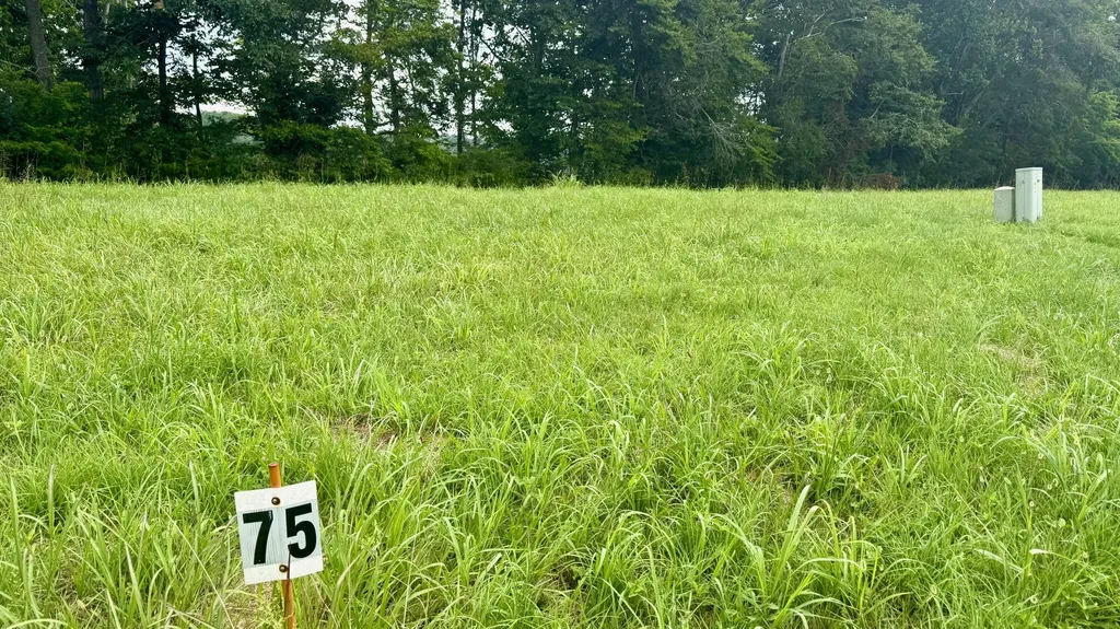 73 Meadows Loop Russell Springs KY 42642