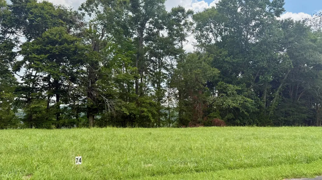 73 Meadows Loop Russell Springs KY 42642