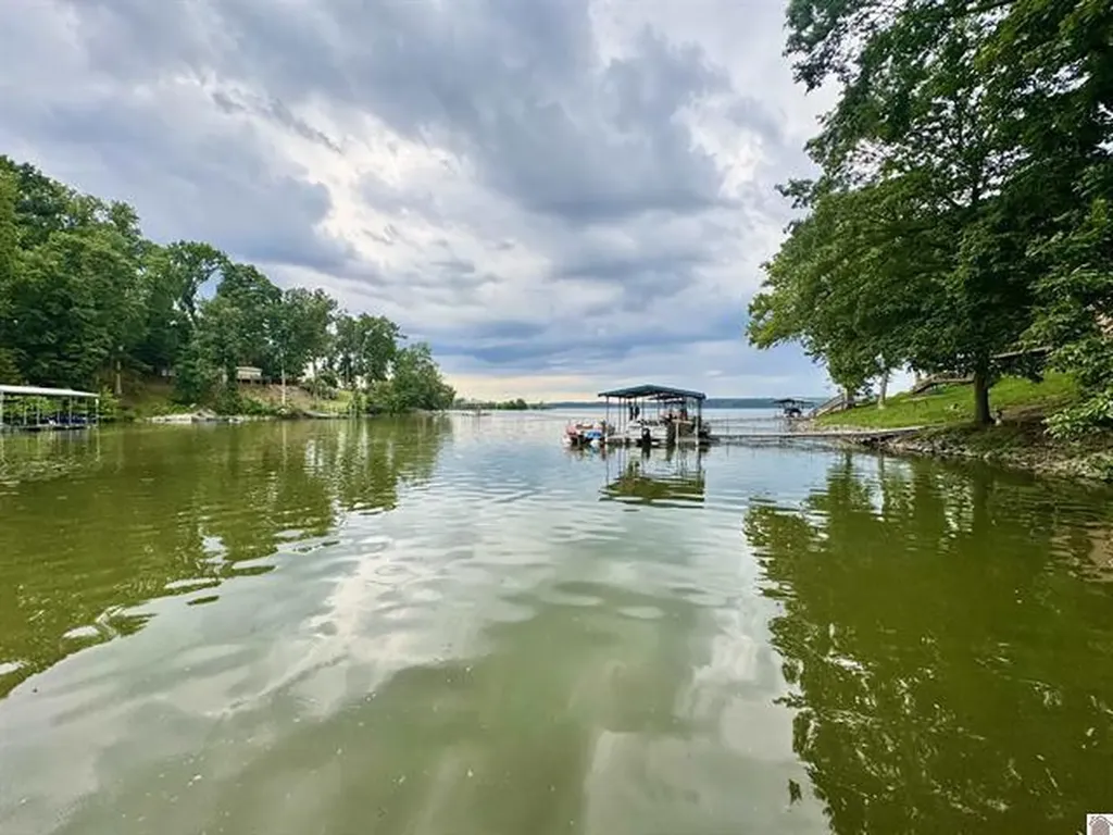 318 Horseshoe Drive Cadiz KY 42211