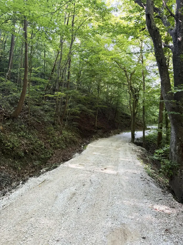3000 Miller Creek Road Ravenna KY 40472