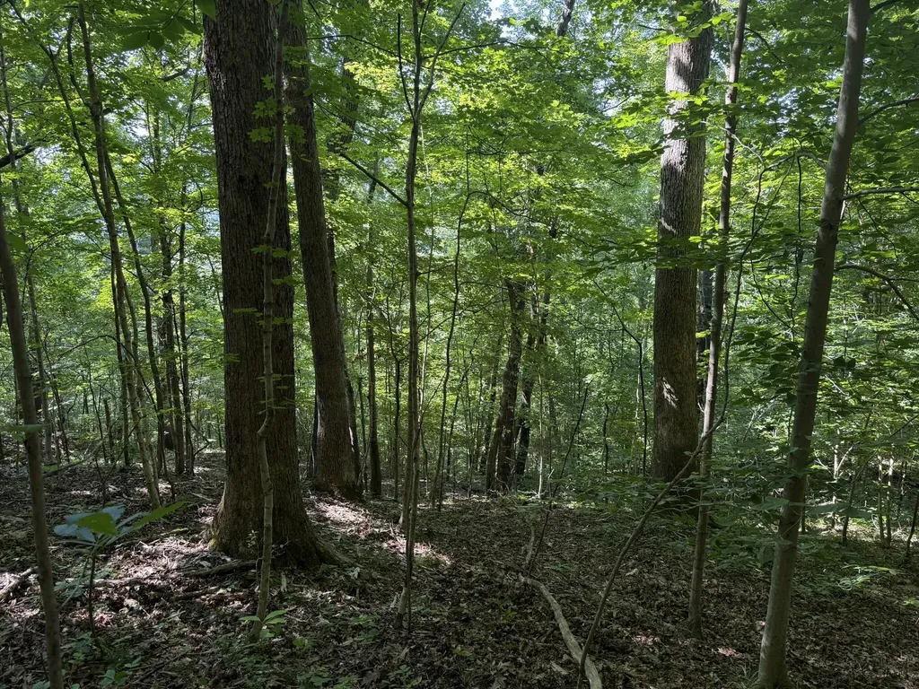 3000 Miller Creek Road Ravenna KY 40472