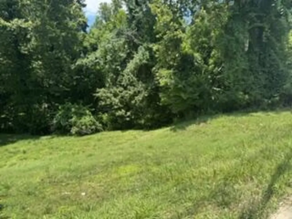 1825 Belmont Street Ashland KY 41101
