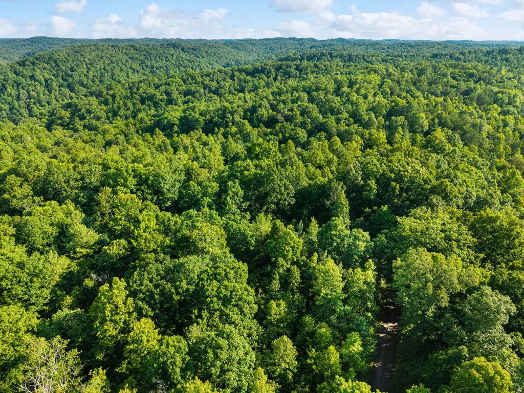 5399 Patsey Pilot Road Ravenna KY 40472