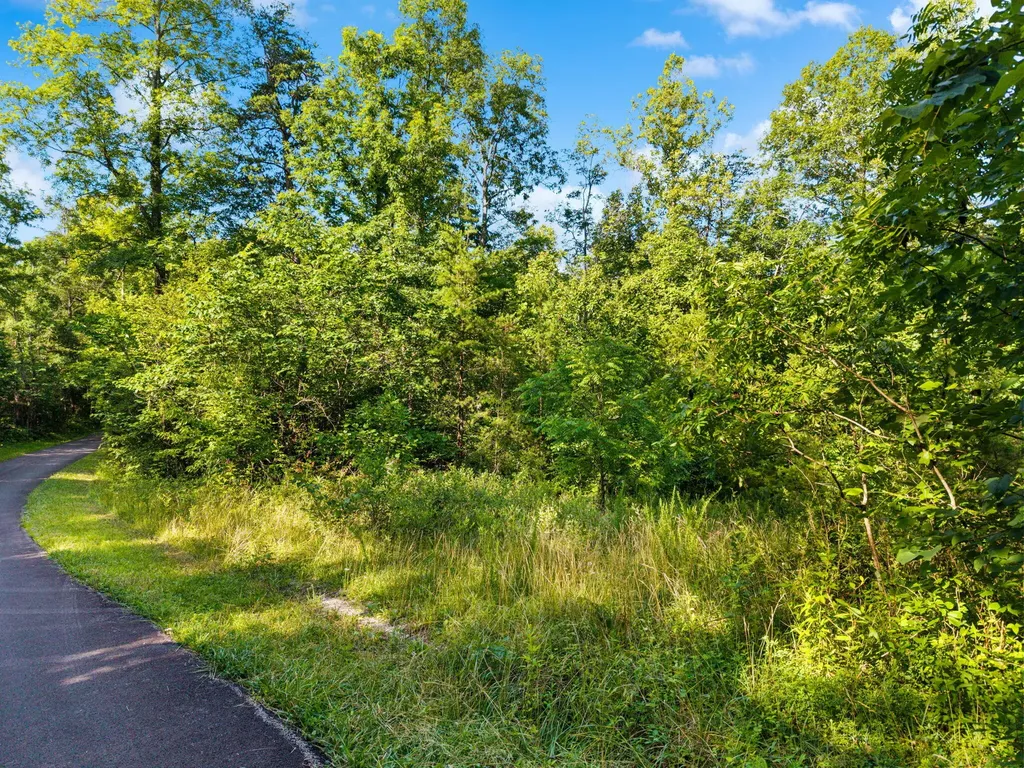 5399 Patsey Pilot Road Ravenna KY 40472