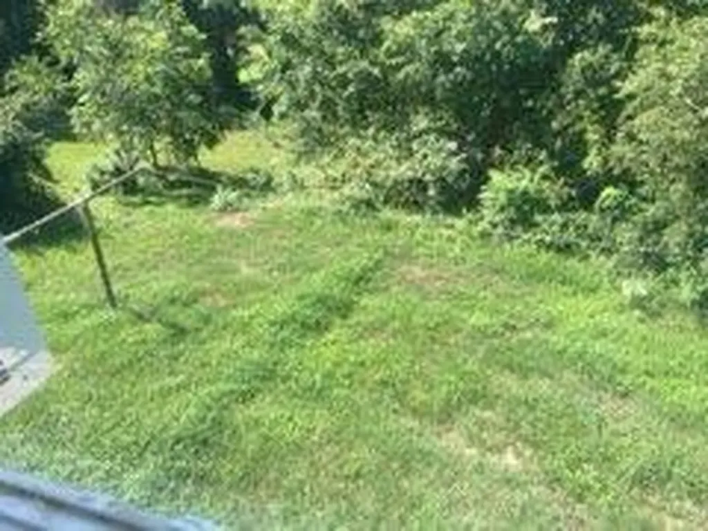81 Highland Park Drive Williamsburg KY 40769