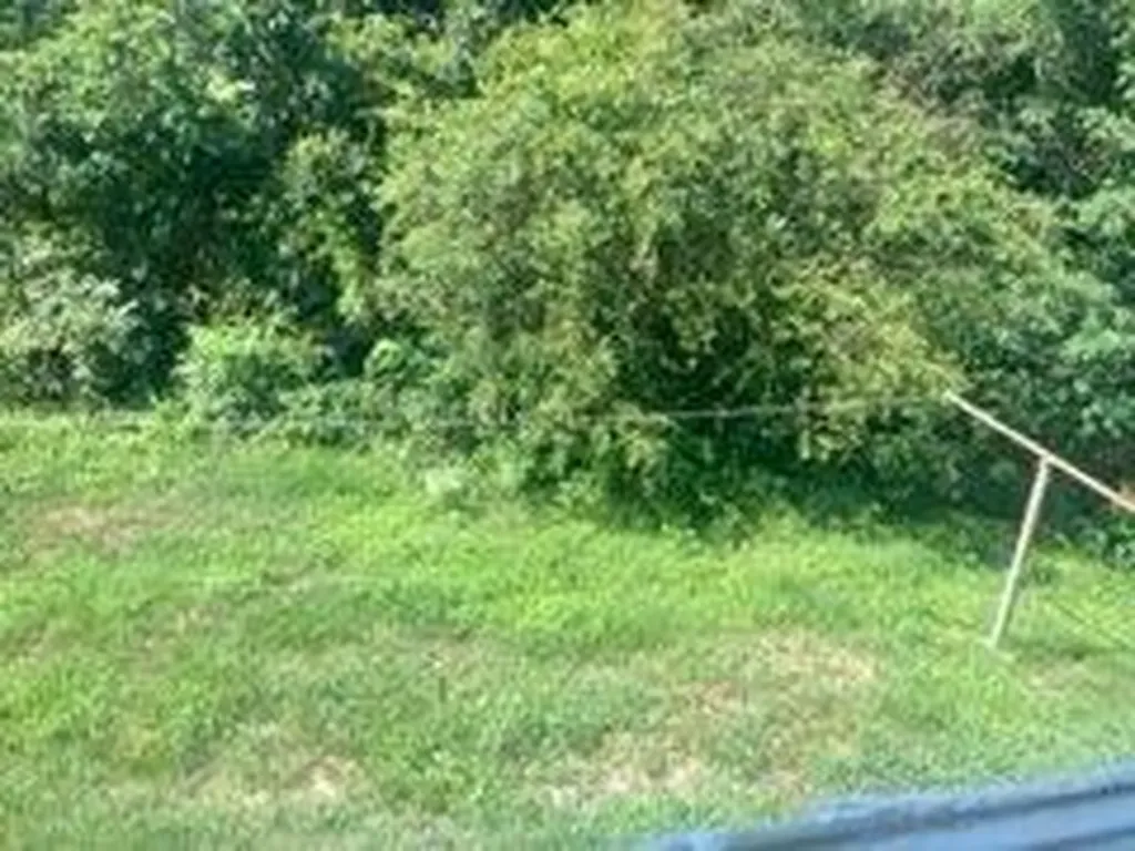 81 Highland Park Drive Williamsburg KY 40769
