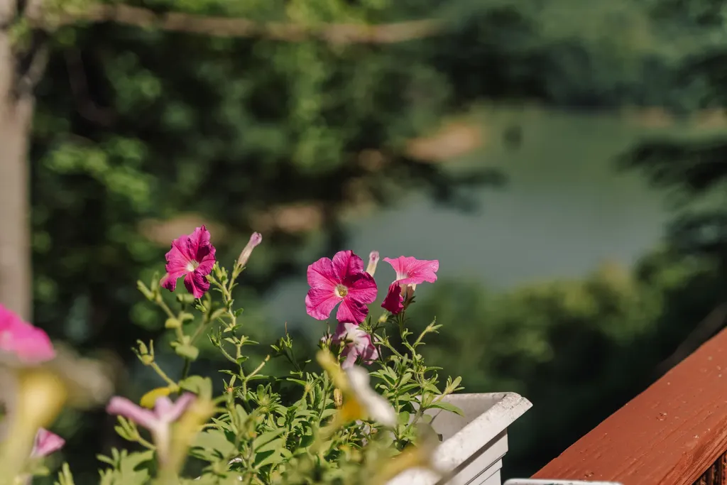 771 Cliffside Drive Russell Springs KY 42642