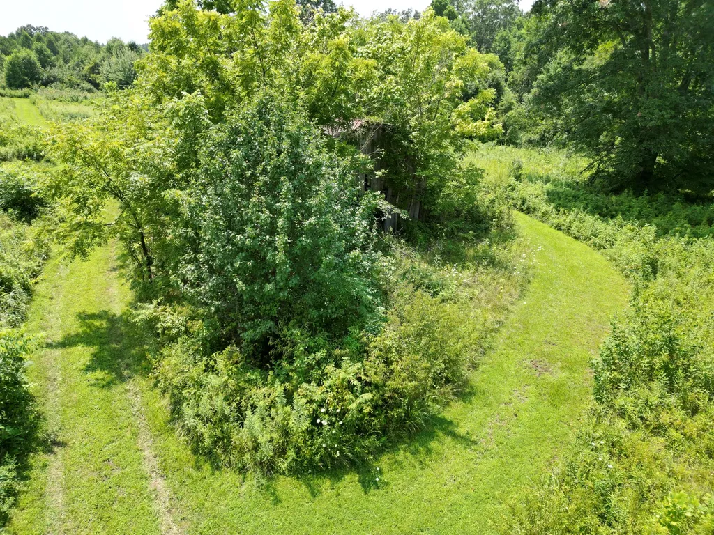 9991 Kentucky 490 East Bernstadt KY 40729