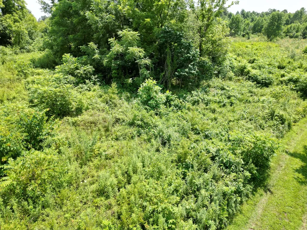 9991 Kentucky 490 East Bernstadt KY 40729