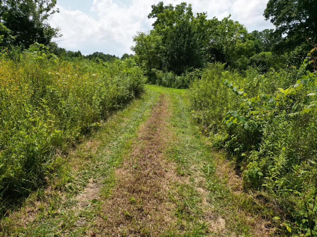 9991 Kentucky 490 East Bernstadt KY 40729