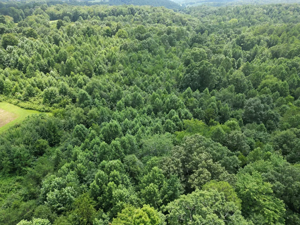 9991 Kentucky 490 East Bernstadt KY 40729