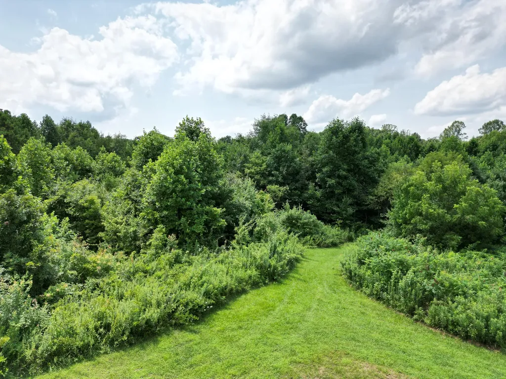 9991 Kentucky 490 East Bernstadt KY 40729