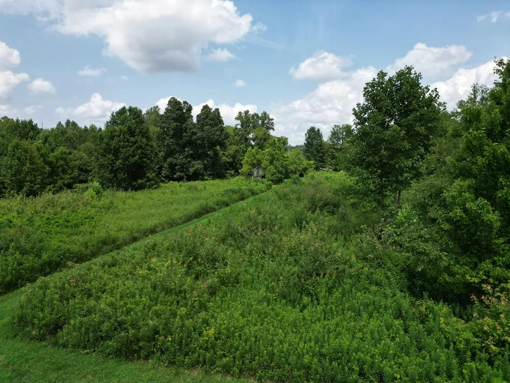 9991 Kentucky 490 East Bernstadt KY 40729