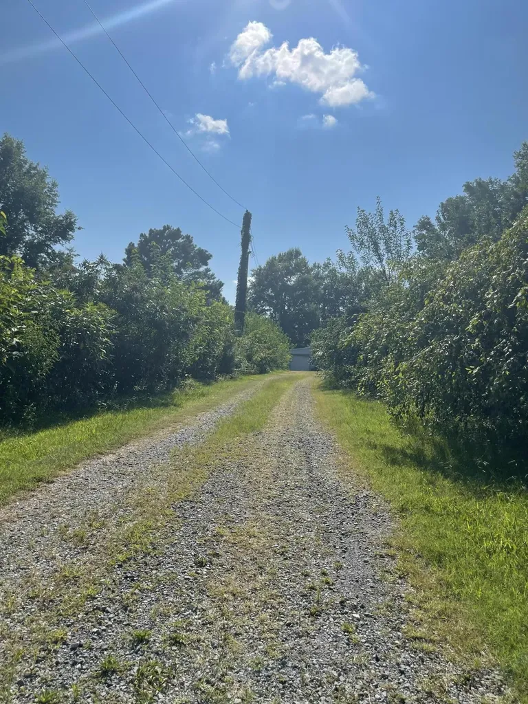 2345 Highway 564 Mayfield KY 42066