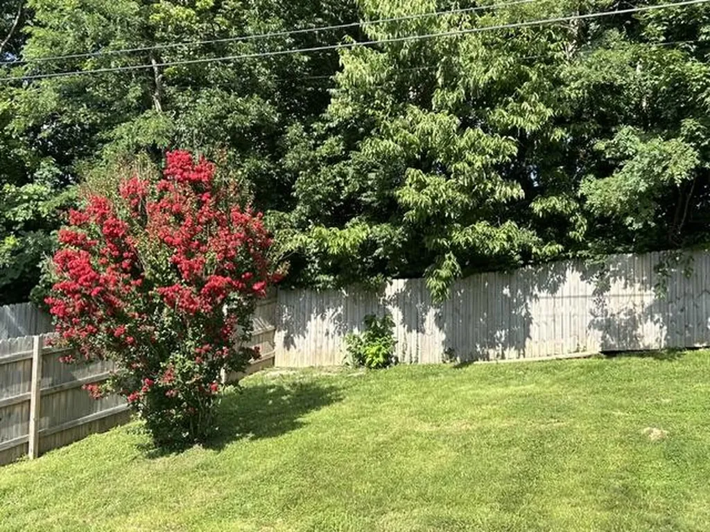 256 Stevenson Avenue Danville KY 40422