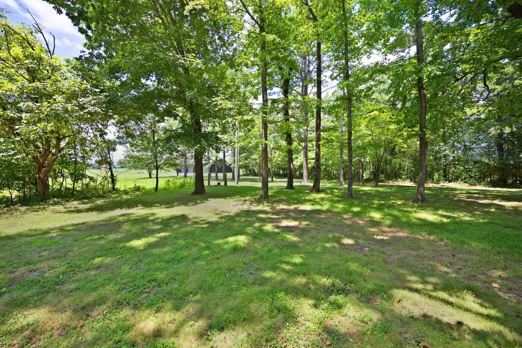 2295 E Highway 635 Science Hill KY 42553