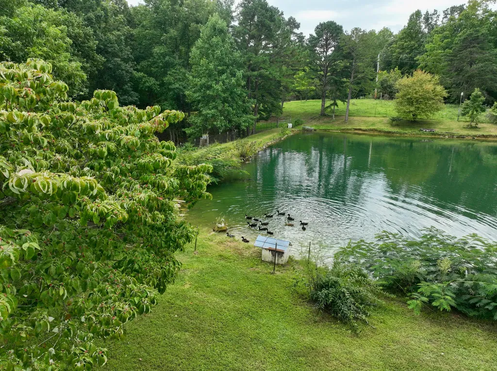 762 Jacks Ridge Road Mckee KY 40447