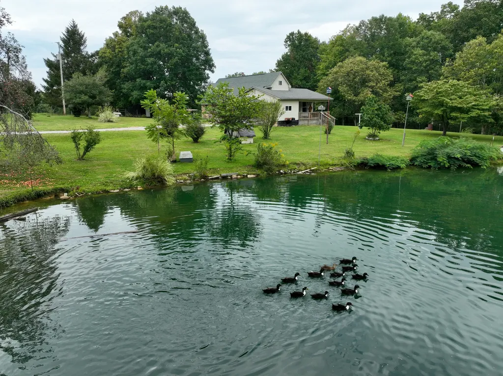762 Jacks Ridge Road Mckee KY 40447