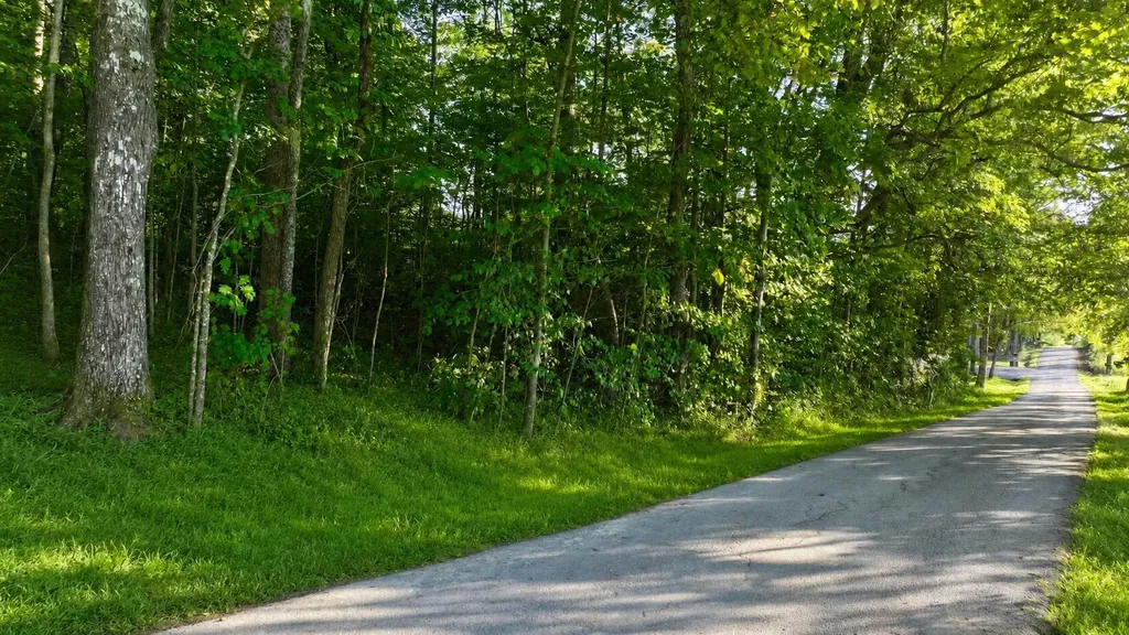 94 Roberts Lane Nancy KY 42544