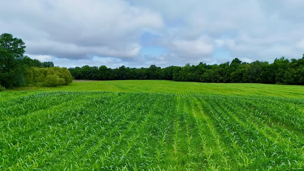 0000 Gillahan Road Ledbetter KY 42058