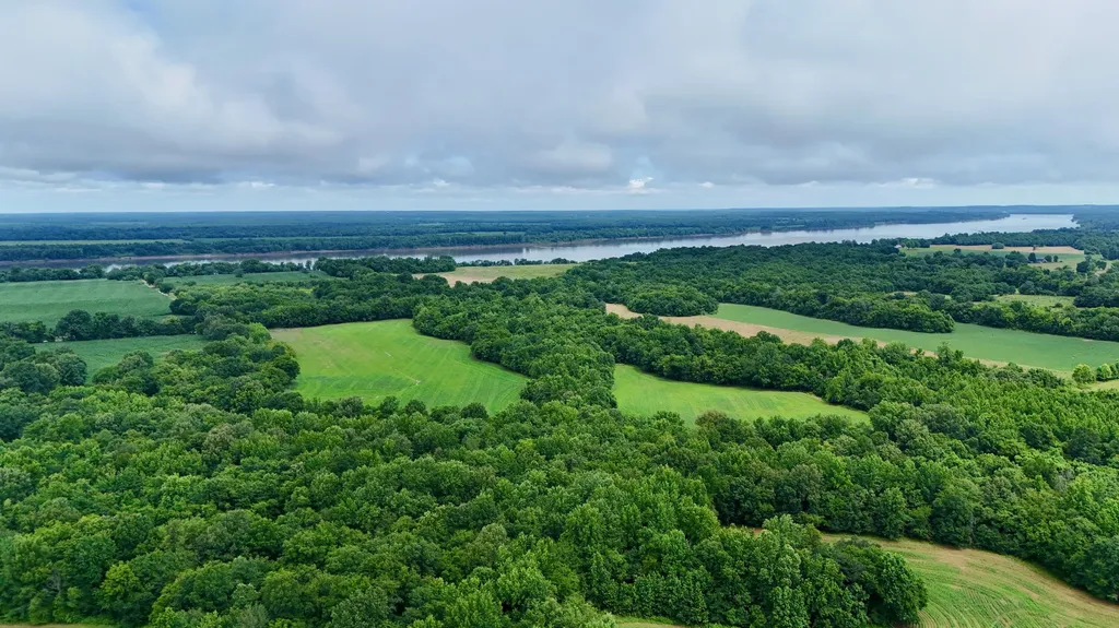 0000 Gillahan Road Ledbetter KY 42058