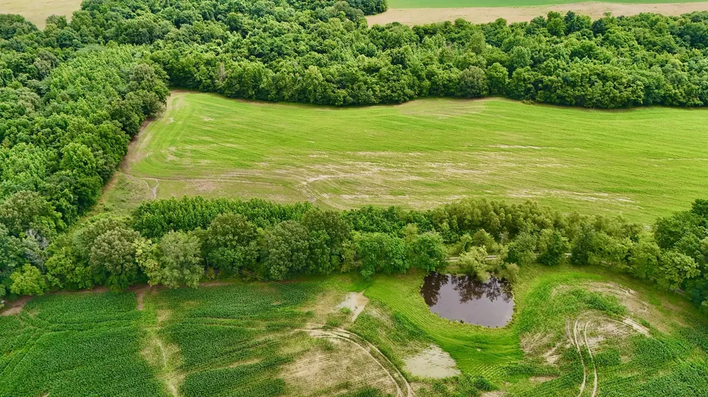 0000 Gillahan Road Ledbetter KY 42058