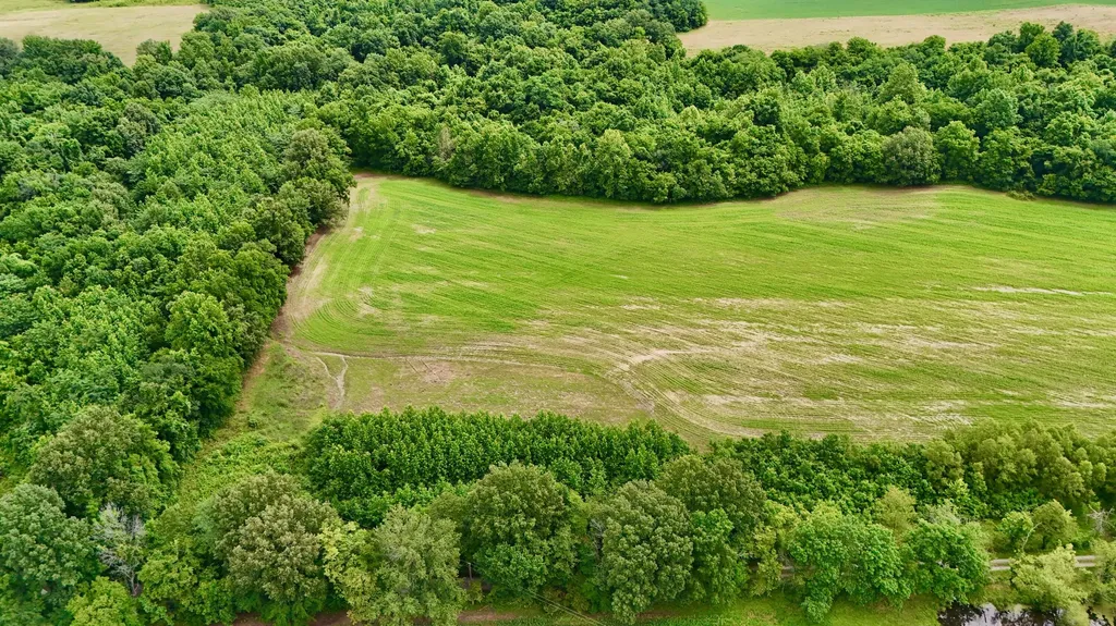 0000 Gillahan Road Ledbetter KY 42058
