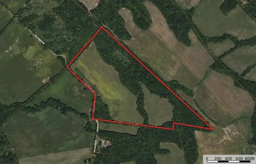 0000 Gillahan Road Ledbetter KY 42058