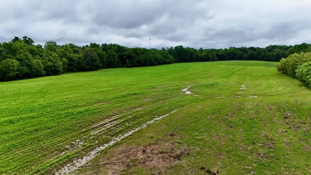0000 Gillahan Road Ledbetter KY 42058
