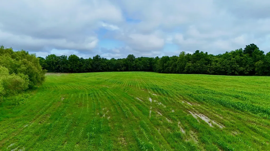 0000 Gillahan Road Ledbetter KY 42058