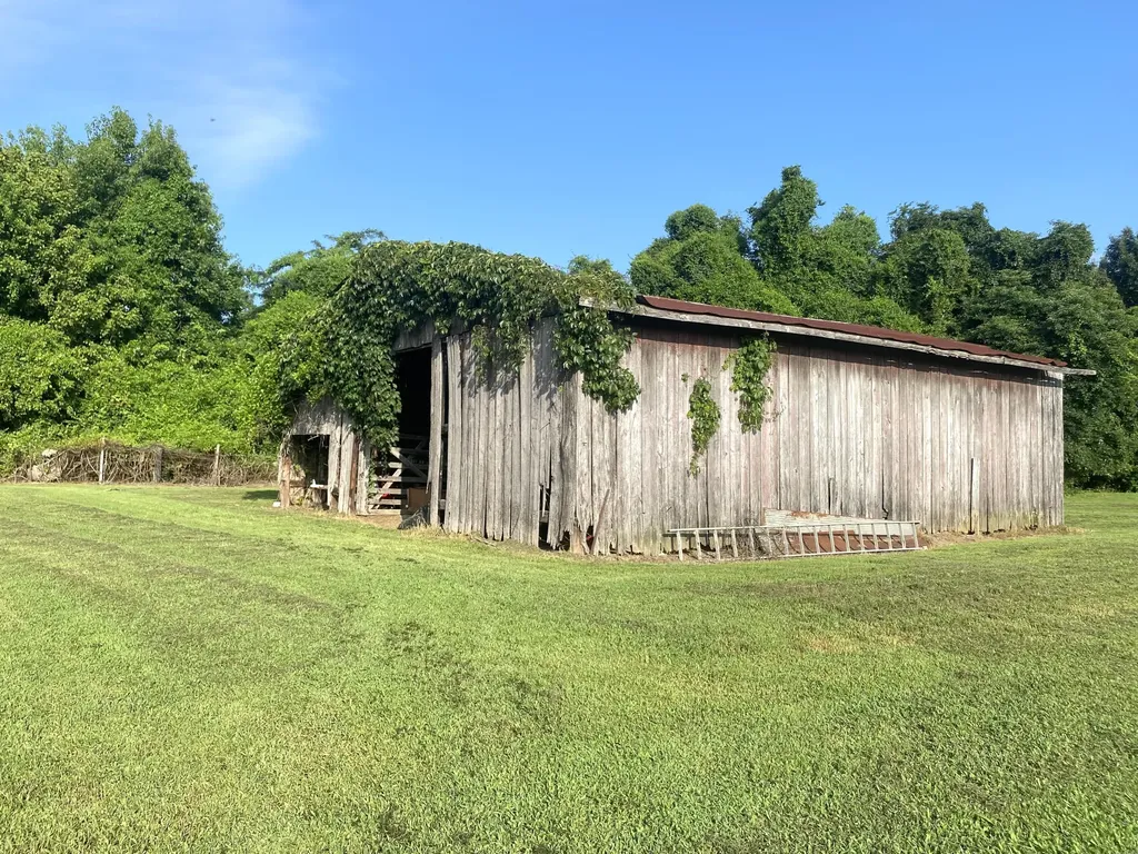 245 Hodge Landing Road Ledbetter KY 42058
