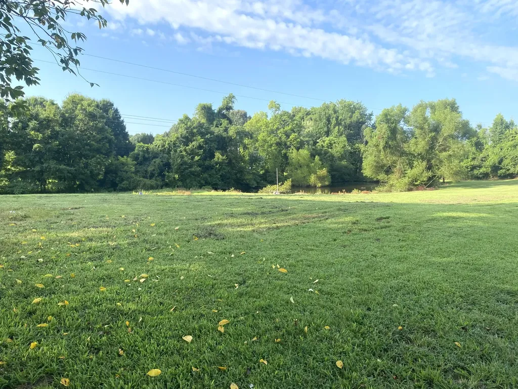 245 Hodge Landing Road Ledbetter KY 42058