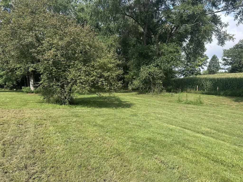 1865 Blair School Road Russell Springs KY 42642
