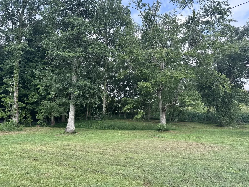 1865 Blair School Road Russell Springs KY 42642