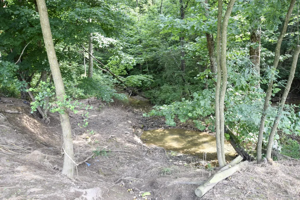 444 May Hollow Road Tollesboro KY 41189