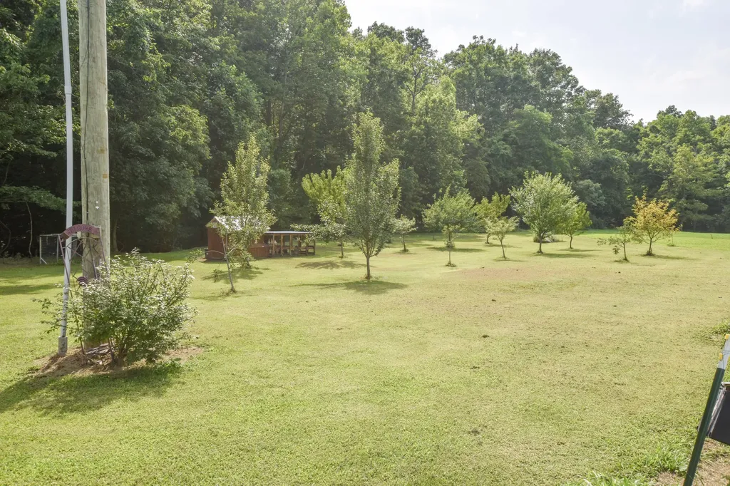 444 May Hollow Road Tollesboro KY 41189
