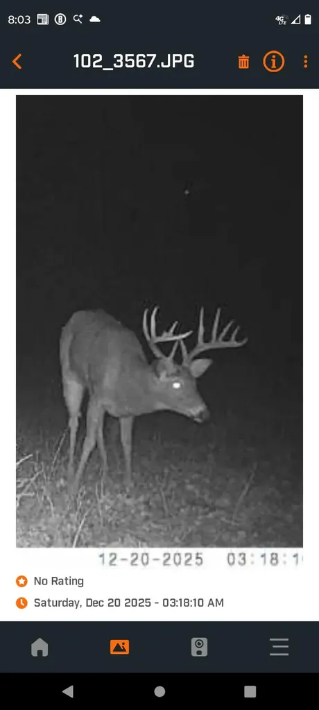 444 May Hollow Road Tollesboro KY 41189