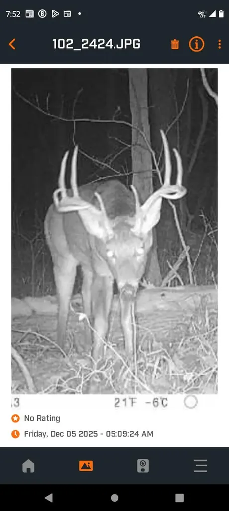 444 May Hollow Road Tollesboro KY 41189