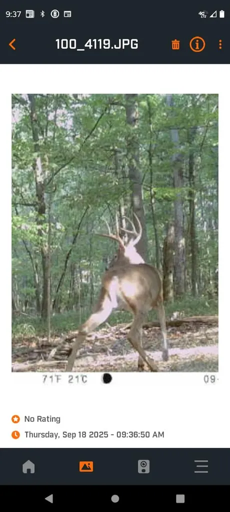 444 May Hollow Road Tollesboro KY 41189