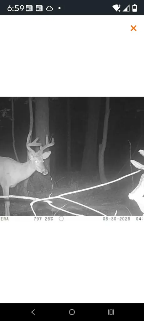 444 May Hollow Road Tollesboro KY 41189