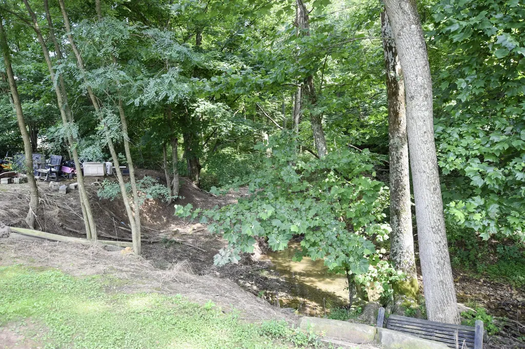 444 May Hollow Road Tollesboro KY 41189