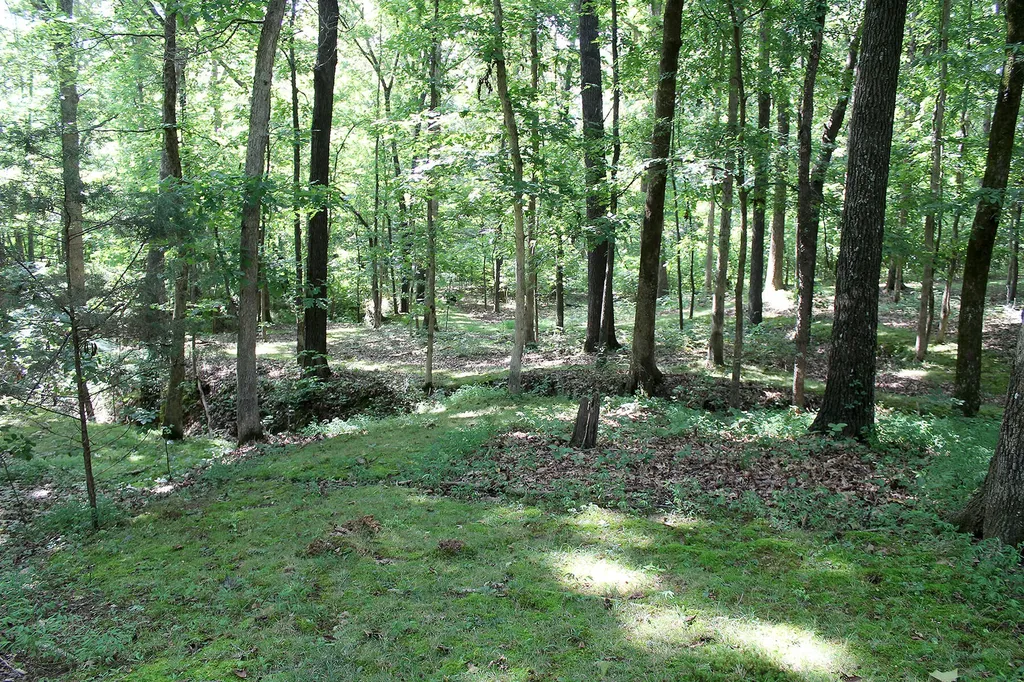254 Kirk Ridge Road Murray KY 42071