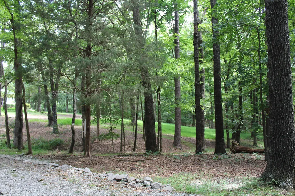 254 Kirk Ridge Road Murray KY 42071