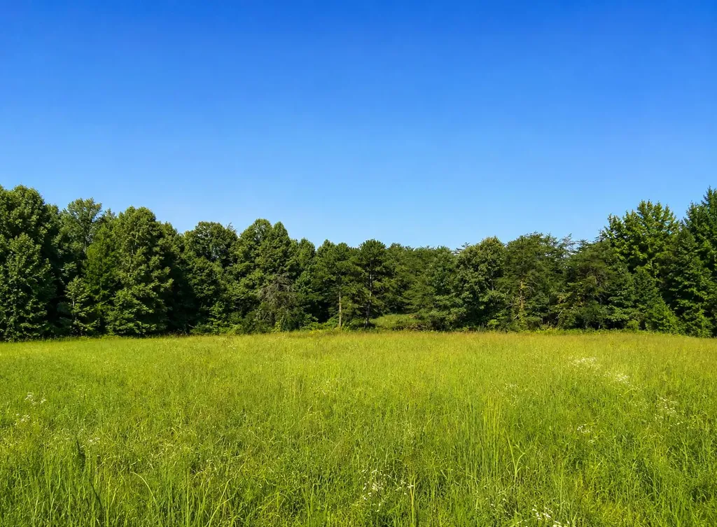 354 Josh Hill Road Pine Knot KY 42635