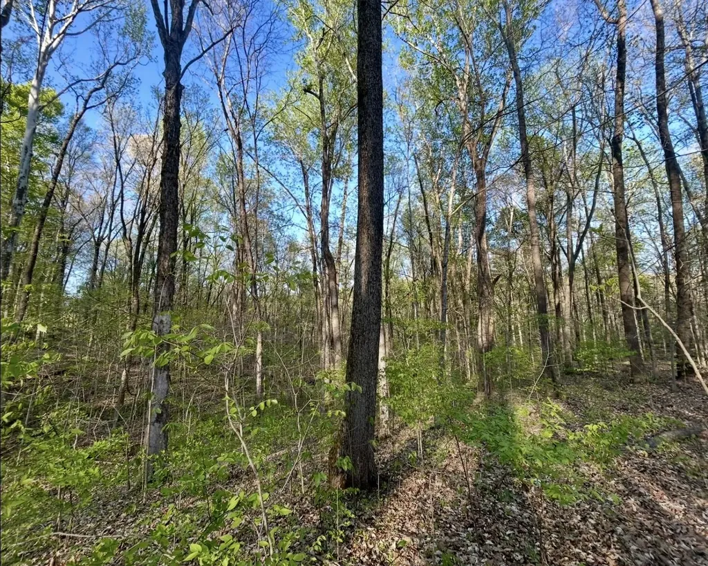 Lot 14e Commerce Landing Road Eddyville KY 42038