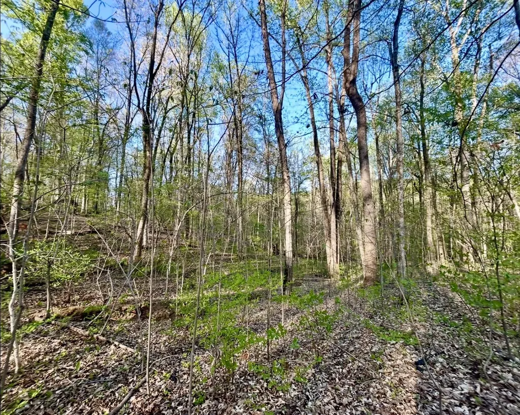 Lot 14e Commerce Landing Road Eddyville KY 42038