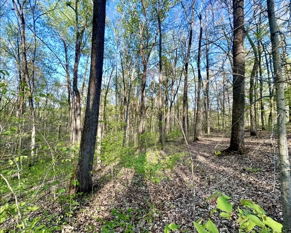 Lot 14e Commerce Landing Road Eddyville KY 42038