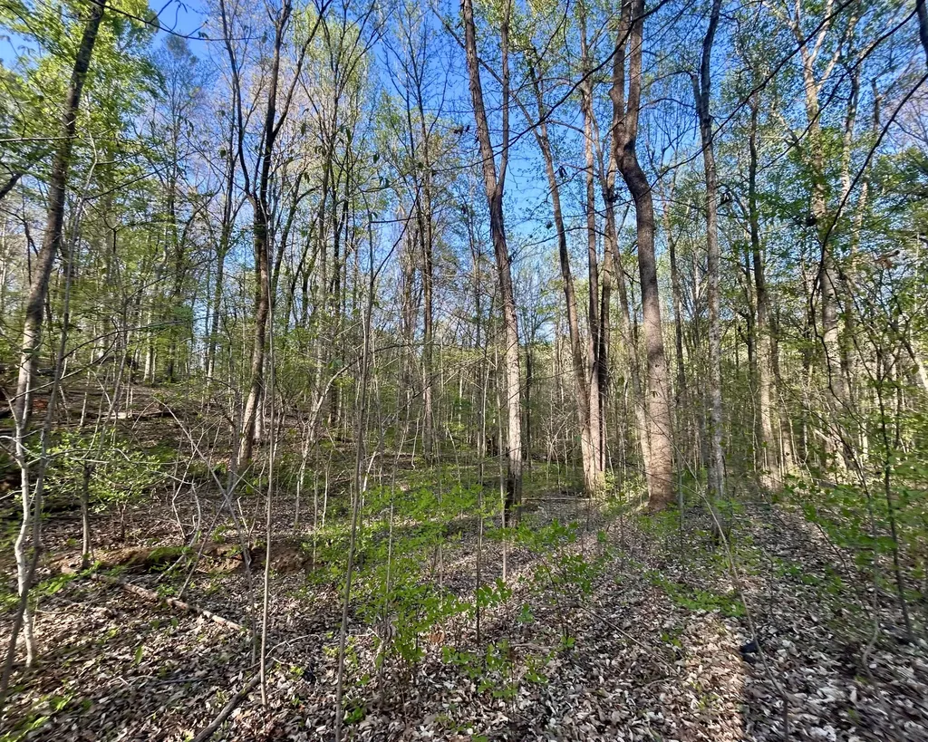 Lot 14e Commerce Landing Road Eddyville KY 42038