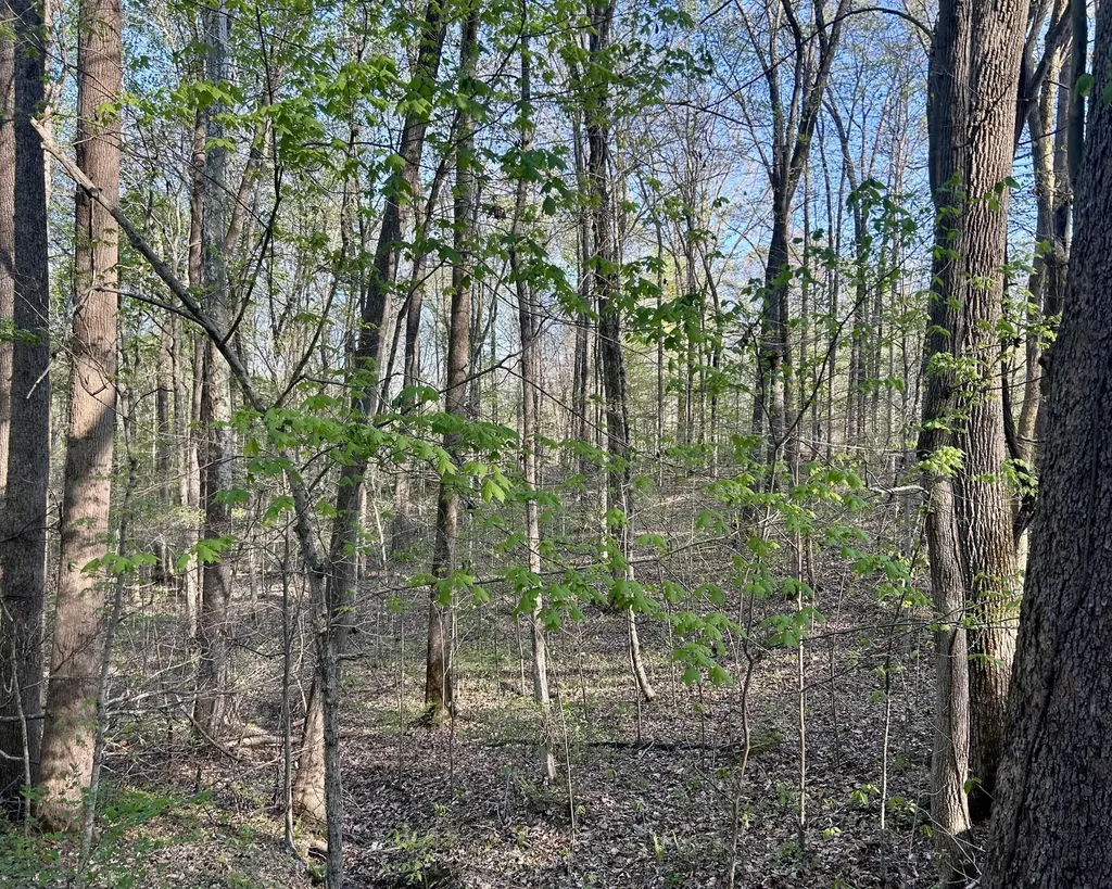 Lot 14e Commerce Landing Road Eddyville KY 42038