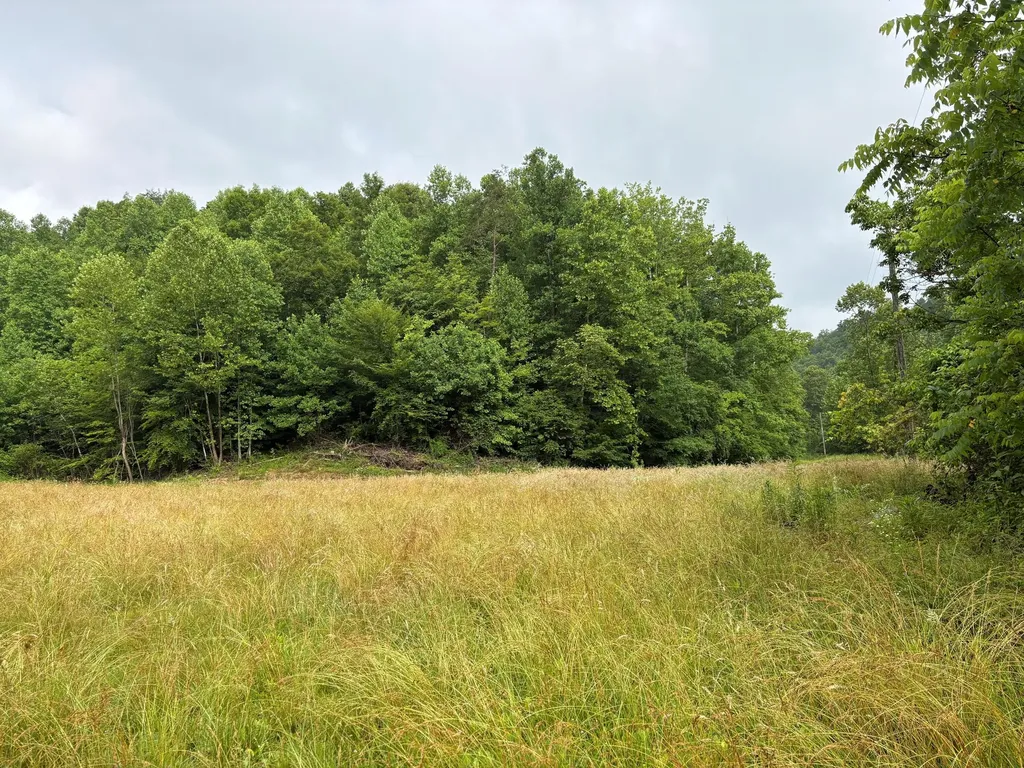 10389 Kentucky 1304 Barbourville KY 40906